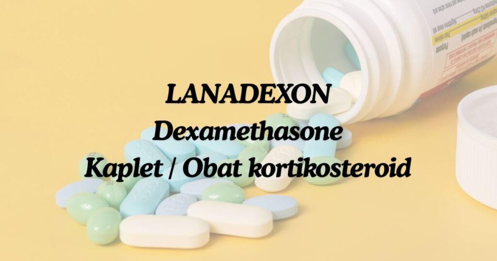 lanadexon-01-obatapa